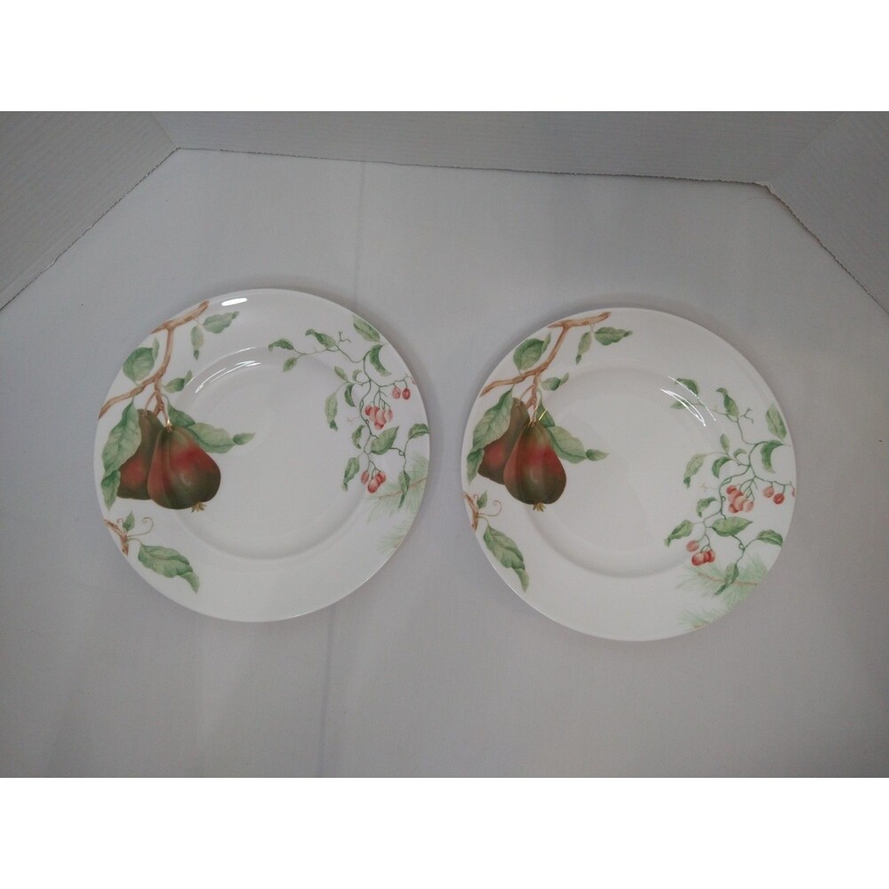 Set of 2 Lenox WINTER GARDEN 9.5" Inch Luncheon Plates ANJOU PEAR CHINABERRY